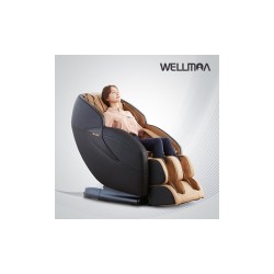 에비스 프리미엄 안마의자 HCW-6400